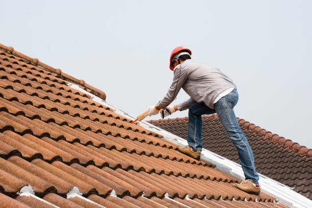 Sheet Metal Roofing in Franklin Park, FL